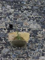 gal/Luby/Castles and churches/_thb_p7099824.jpg